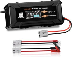 ECO-Worthy 20A Smart Battery Charger Maintainer