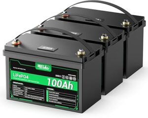 HQST 12 Volt 100Ah Lithium Iron Phosphate Battery