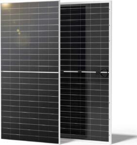 Renogy 1180W 2pcs 590 Solar Panels For Home