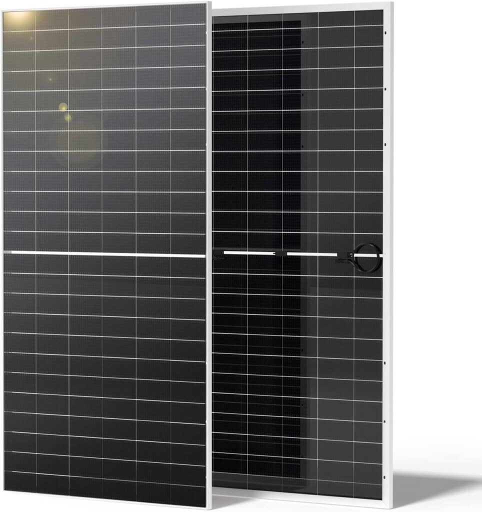 Renogy 1180W 2pcs 590 Solar Panels For Home