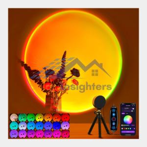 Multicolor Changing LED Projection Lamp